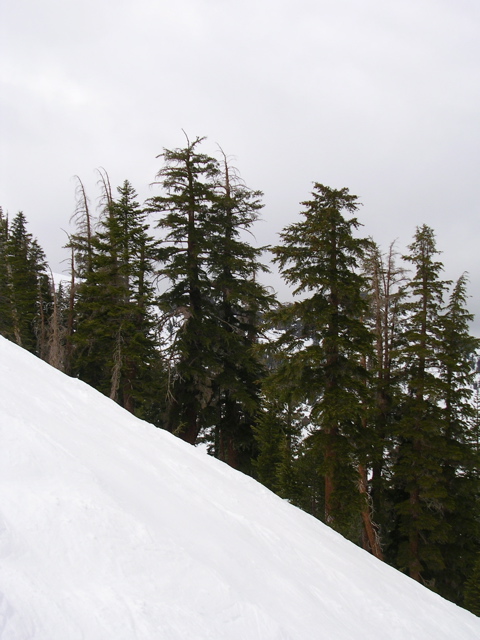 DSCN0292.JPG