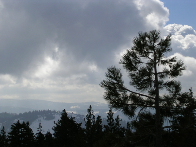 DSCN0254.JPG