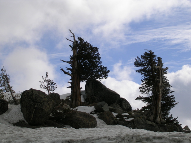 DSCN0259.JPG