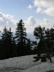 DSCN0253.JPG
