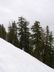 DSCN0292.JPG