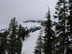 DSCN0293.JPG