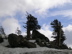 DSCN0259.JPG
